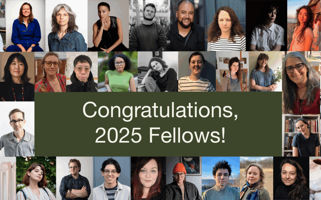 Meet the 2025 Fellows!