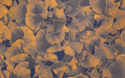 2026 Invitational Show at SOAG in Ithaca!