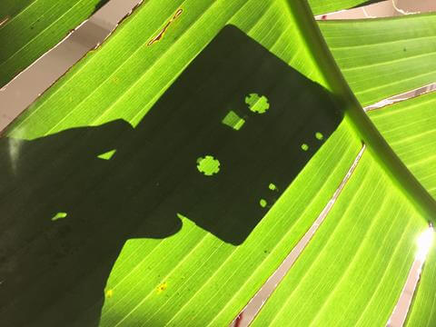 Emily Brandt (’13) celebrates 10 years of No, Dear