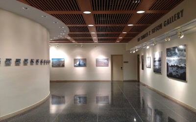 Lisa Lebofsky (’14) Solo Exhibition in Brooklyn