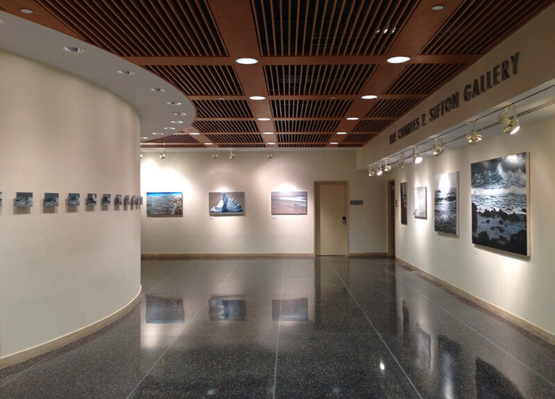 Lisa Lebofsky (’14) Solo Exhibition in Brooklyn