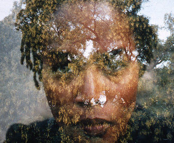 Felicia Megginson (2002)