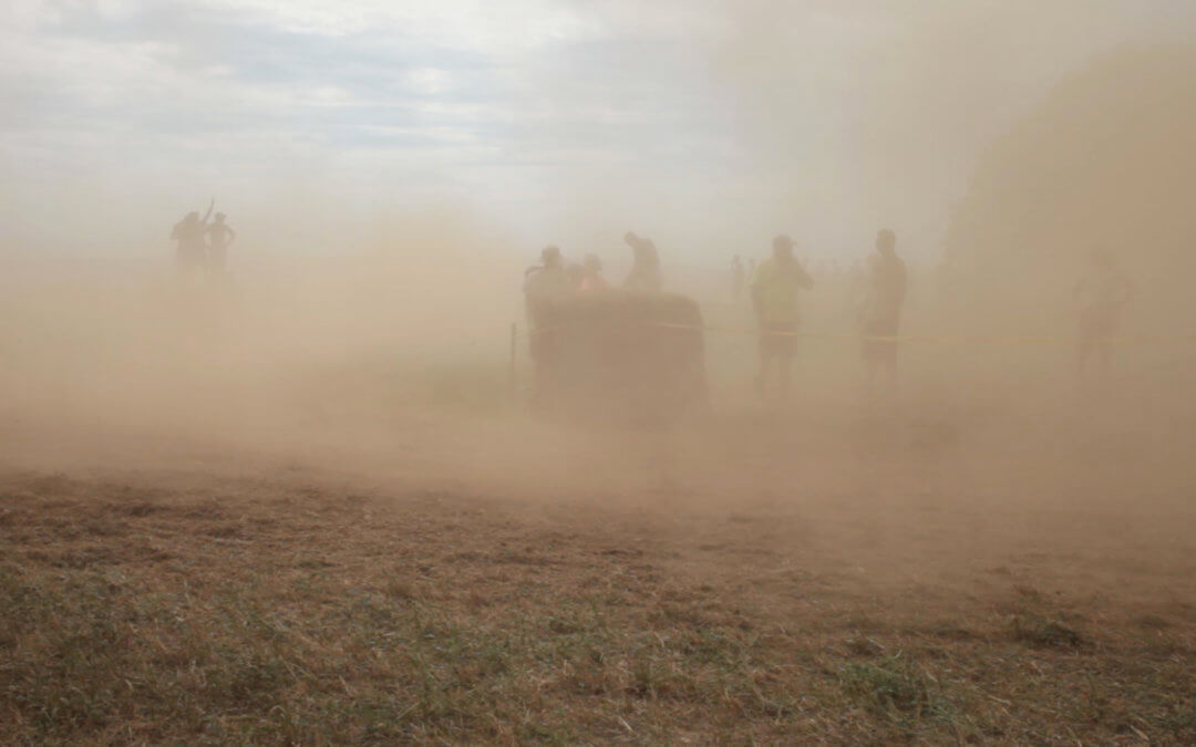 Lisa Lebofsky and Rebecca Soderholm (both ’14) Exhibit at SUNY Adirondack