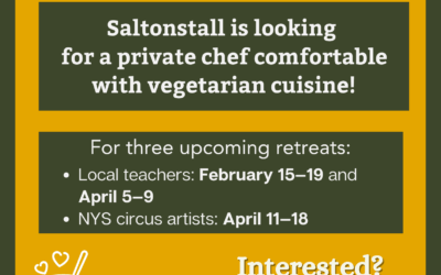 Looking for a part-time chef!