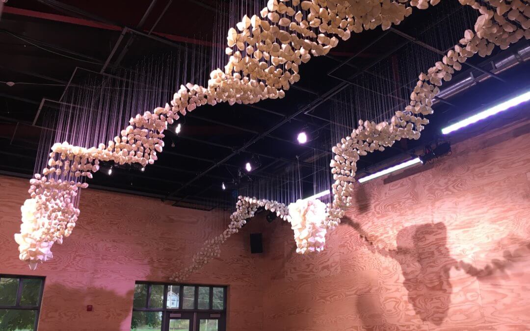 This weekend: Adapting Conditions at the Cherry Artspace