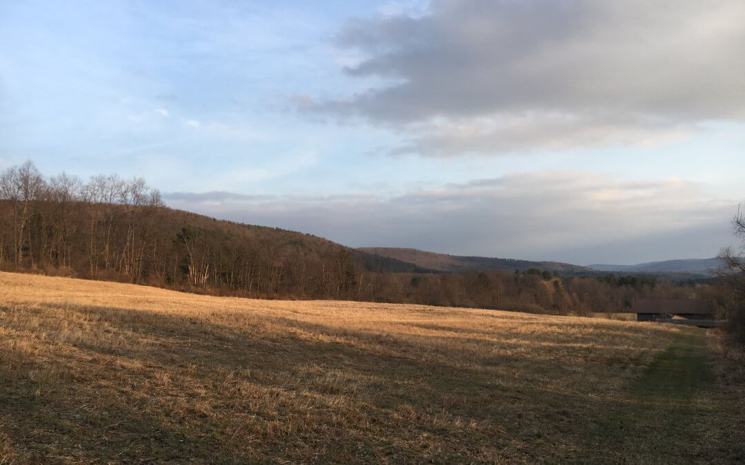 Report from Ellis Hollow Outpost 435