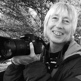 Kathy Morris (1998)