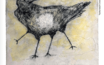 Saltonstall Exhibition Opening Reception