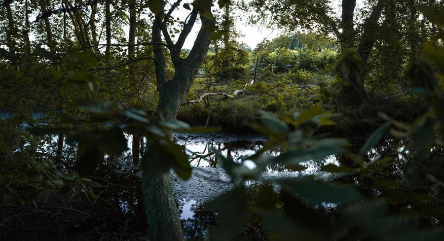 Jeremy Dennis (’16): Photographing Indigenous History
