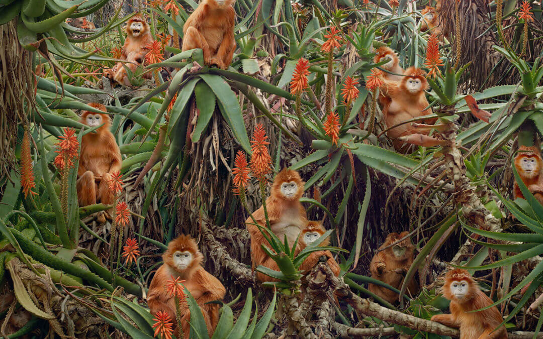 Johan (’06 + ’12) featured in National Geographic