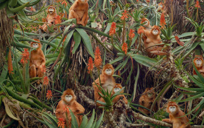 Johan (’06 + ’12) featured in National Geographic