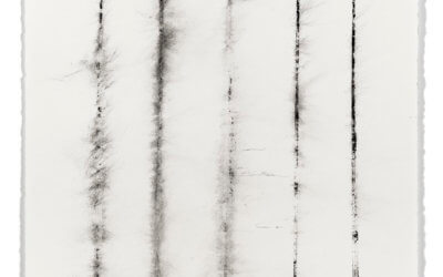 Zac Skinner (’16) + Susan Walsh (’18) at Garrison Art Center