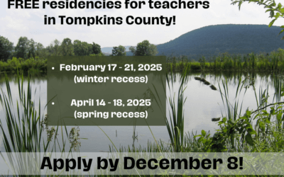 2025 Teacher Retreats!