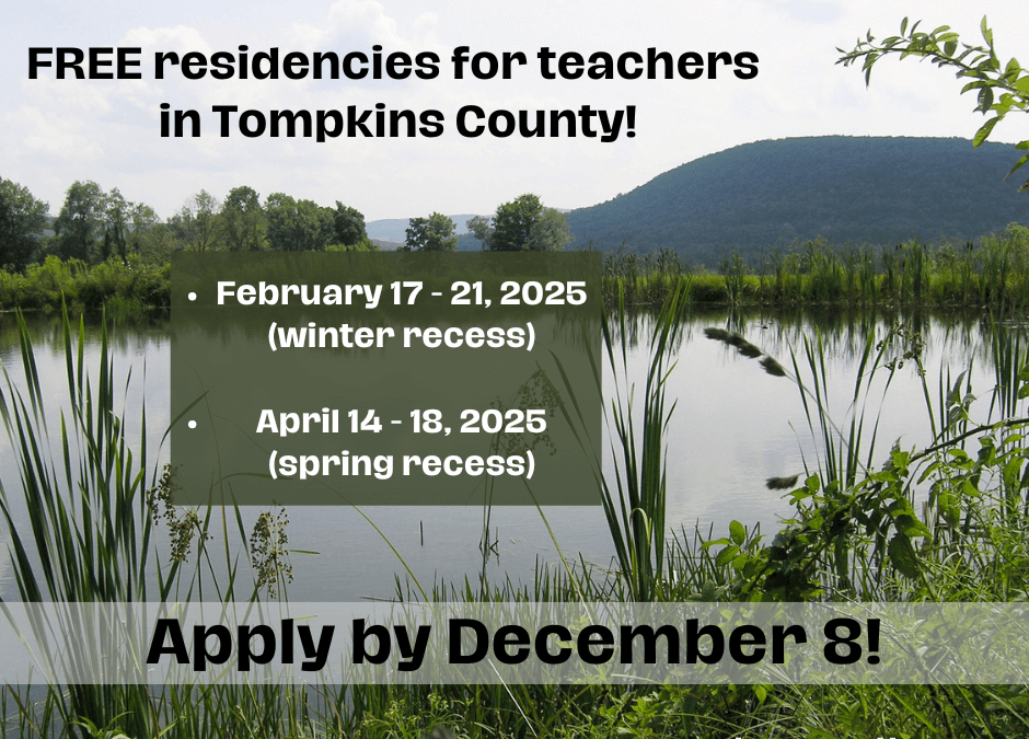 2025 Teacher Retreats!