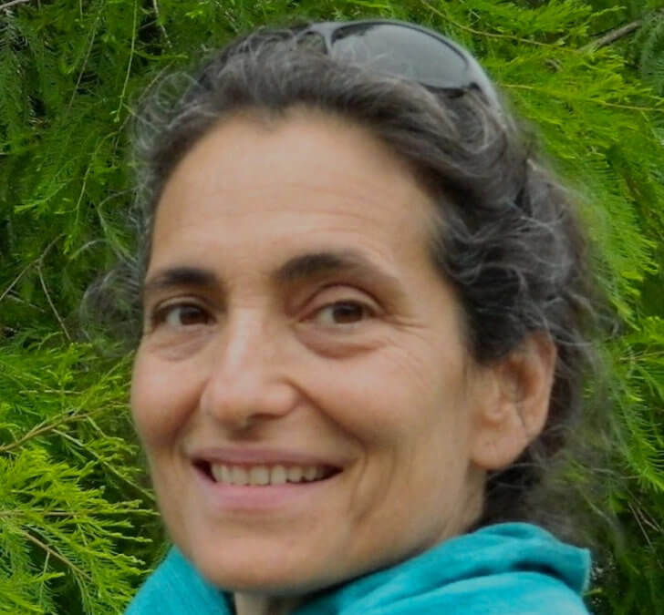Ilene Sunshine (2014)