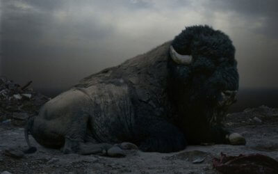 Simen Johan (’12) Opens Two NYC Exhibitions