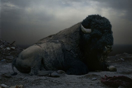 Simen Johan (’12) Opens Two NYC Exhibitions