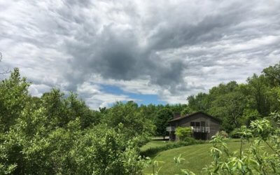 Open House This Sunday: Meet Our Artists