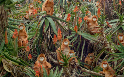 Simen Johan (’12) at Fotografiska  in Sweden
