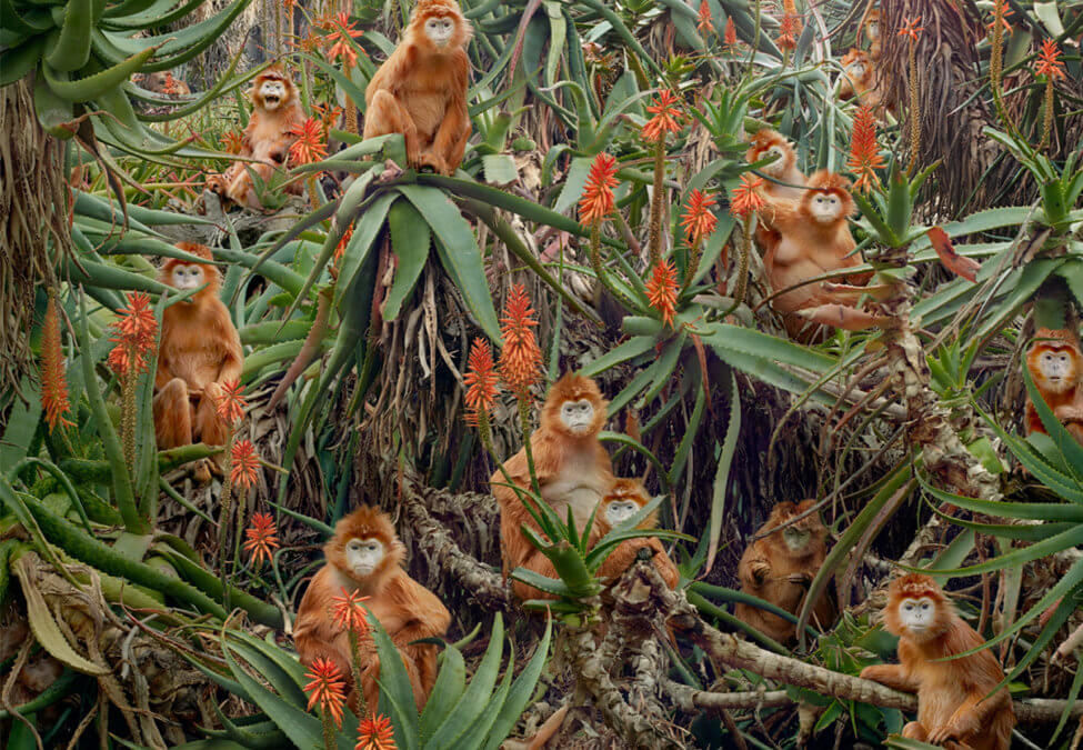 Simen Johan (’12) at Fotografiska  in Sweden