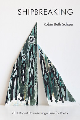 Poet Robin Beth Schaer (’07 + ’12) publishes debut collection