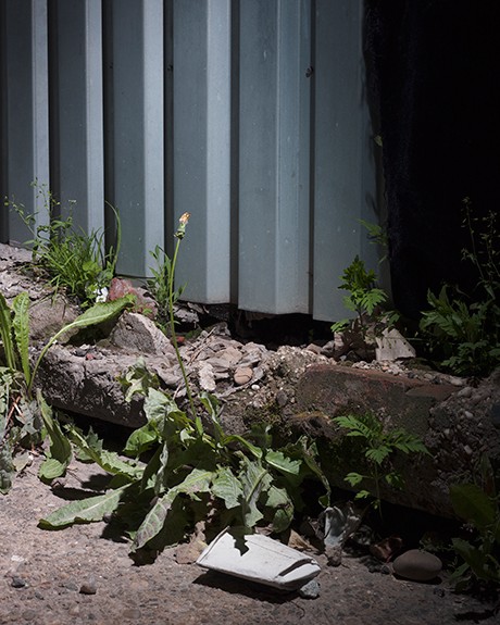 Photographer Michael Vahrenwald (’13) in Bronx exhibition